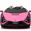 LAMBORGHINI SIAN - 24V - 2 SEATER - 4WD - LEATHER / EVA - PINK (KML)