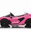 LAMBORGHINI SIAN - 24V - 2 SEATER - 4WD - LEATHER / EVA - PINK (KML)