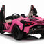 LAMBORGHINI SIAN - 24V - 2 SEATER - 4WD - LEATHER / EVA - PINK (KML)